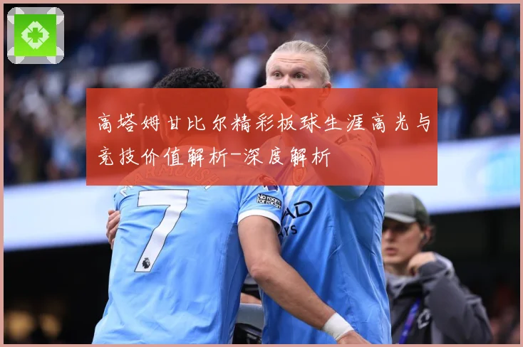 高塔姆甘比尔精彩板球生涯高光与竞技价值解析-深度解析