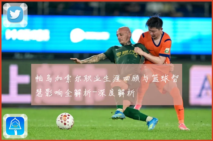帕乌加索尔职业生涯回顾与篮球智慧影响全解析-深度解析
