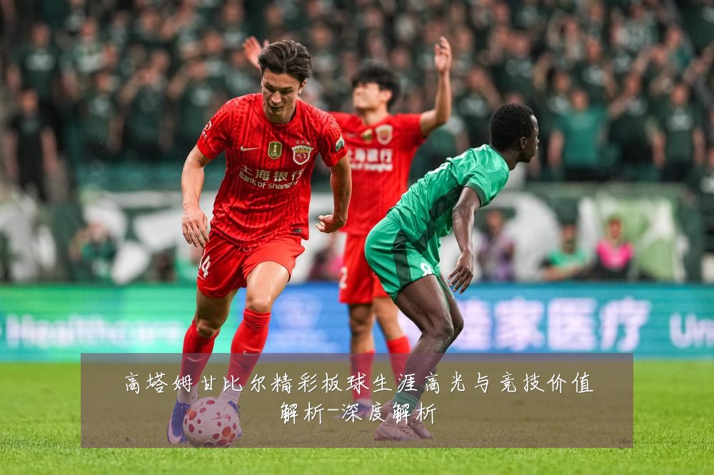 高塔姆甘比尔精彩板球生涯高光与竞技价值解析-深度解析