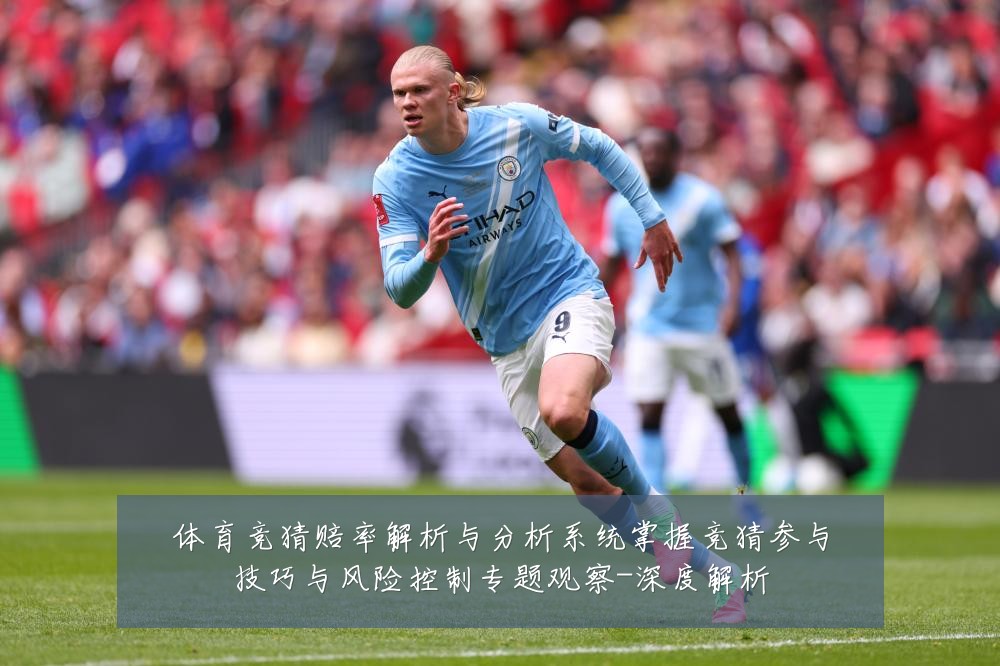 体育竞猜赔率解析与分析系统掌握竞猜参与技巧与风险控制专题观察-深度解析